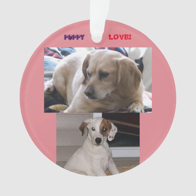 Adorno Perritos y SIS (Anverso)