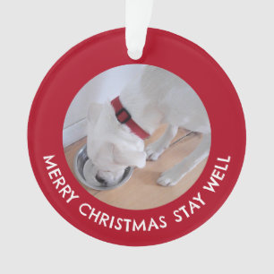 Adorno Perro blanco lindo foto saludable Feliz Navidad Ro