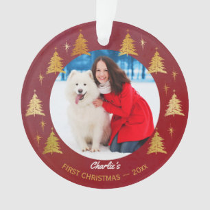 Adorno Perro cachorro primer Mascota de Navidad foto árb
