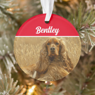 Adorno Perro Cocker Spaniel con nombre y foto Navidad
