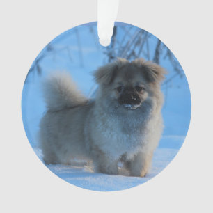 Adorno Perro de aguas tibetano en la nieve