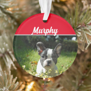 Adorno Perro de Boston Terrier con Navidades de nombre y 