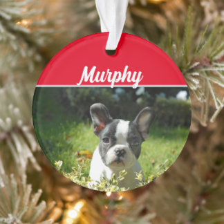 Adorno Perro de Boston Terrier con Navidades de nombre y 