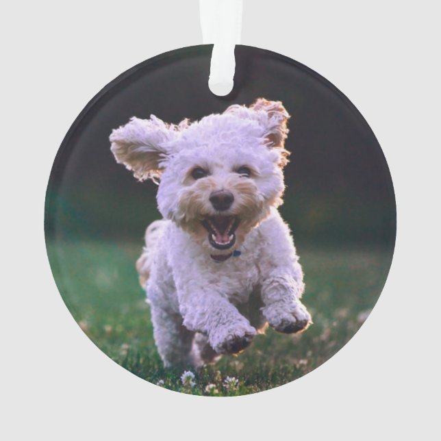 Adorno Perro de cangrejo blanco (Reverso)