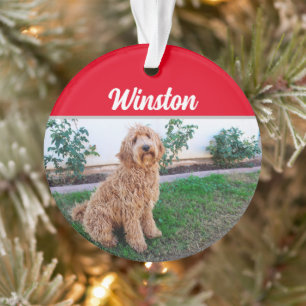 Adorno Perro de Labradoodle Marrón con Navidades de fotog