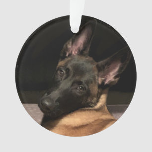 Adorno Perro de Malinois