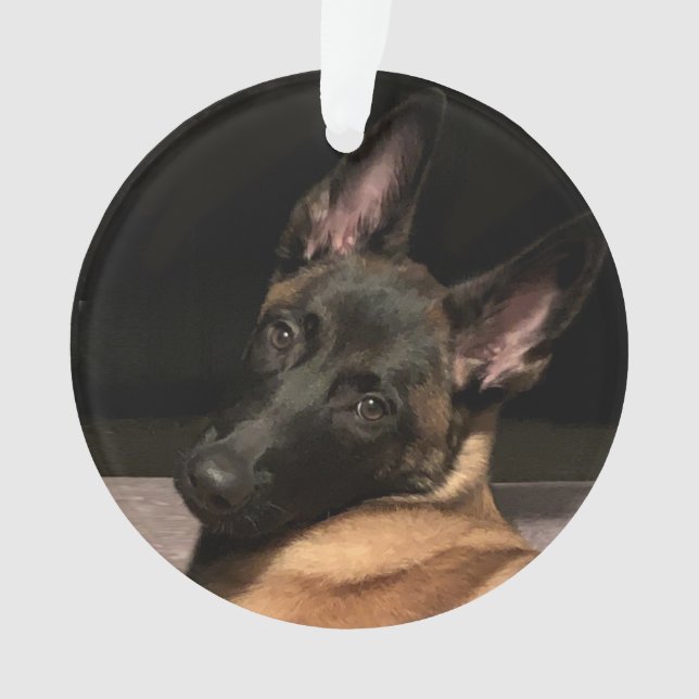 Adorno Perro de Malinois (Anverso)