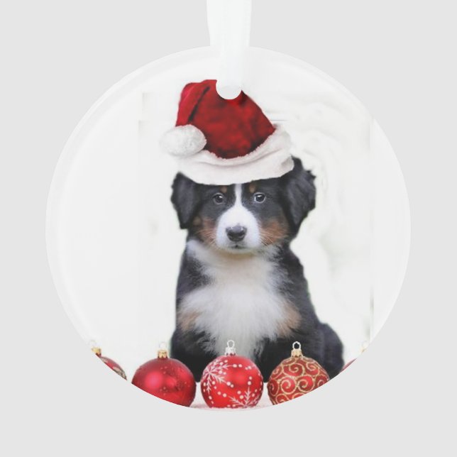 Adorno Perro de montaña de Bernese del navidad (Reverso)