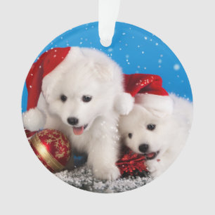 Adorno Perro de Pomerania blanco de Pomeranian de los