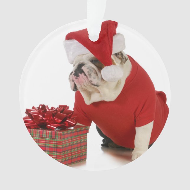 Adorno Perro de Santa - bulldog inglés vestido como Santa (Anverso)