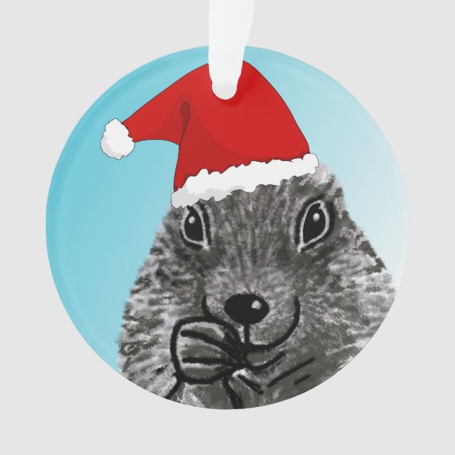 Adorno Perro divertido con dibujo de Santa Hat (Anverso)
