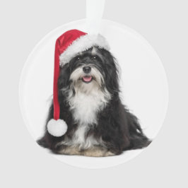 Adorno Perro divertido de Havanese del navidad con el