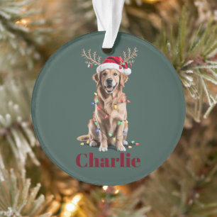 Adorno Perro Golden Retriever Navidad Nombre Personalizad