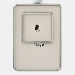 Adorno Perro Labrador de chocolate lindo - Bailey   Regal