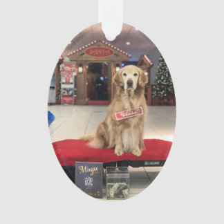 Adorno Perro Navidad - Maravilla