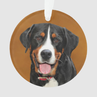 Adorno Perro suizo de la montaña