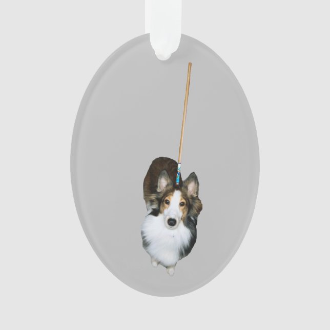 Adorno Perro Trapo (Anverso)