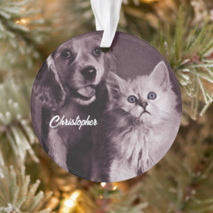 Adorno Perro y gato, buscando personalizado