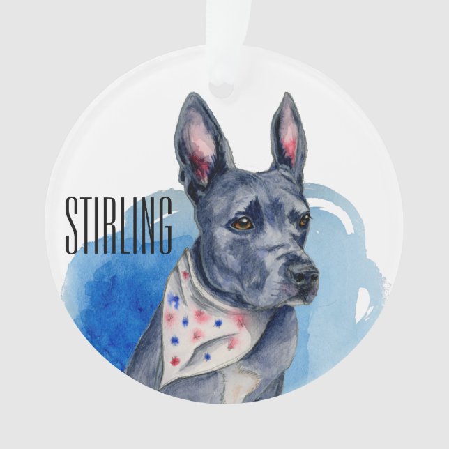 Adorno Personalizable de acuarela azul Bulldog Pit (Anverso)