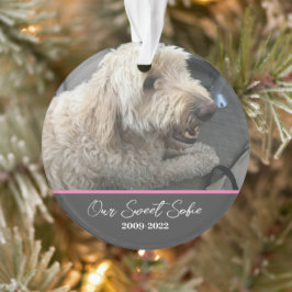 Adorno Personalizable para Mascotas en Memoria de
