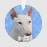 Personalizado Bull Terrier Dog Photo