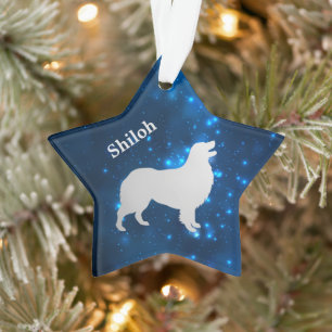 Adorno Personalizado Estrella Perro Pastor Austral