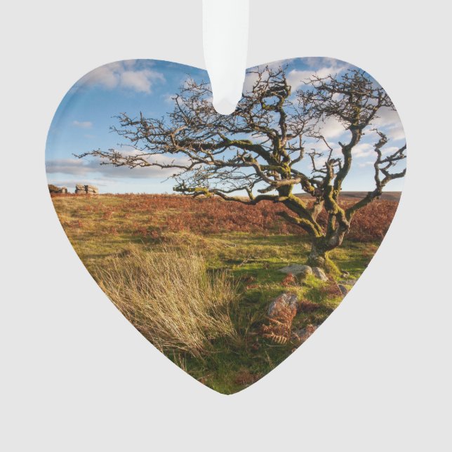 Adorno Personalizado fotográfico con fecha de Desert Sava (Anverso)