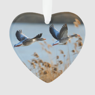Adorno Personalizado fotográfico de dos Goose Wildlife La