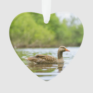Adorno Personalizado fotográfico de dos Goose Wildlife La