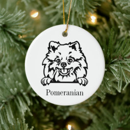 Adorno personalizado para mascotas perro pomerania