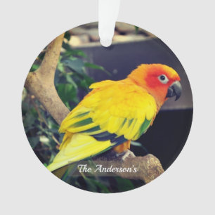 Adorno Personalizado personalizado Lovebird Photo