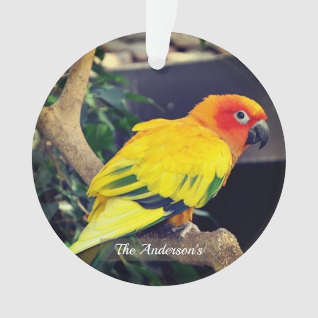 Adorno Personalizado personalizado Lovebird Photo (Anverso)