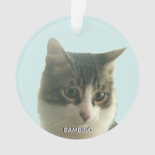 Adorno Personalizado personalizado Tabby Cat Photo on Lig