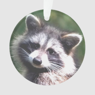 Adorno Personalizado Raccoon Photo