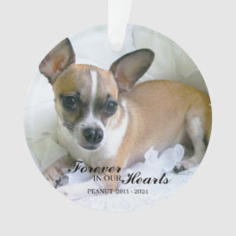 Adorno Personalized Pet Christmas Ornament