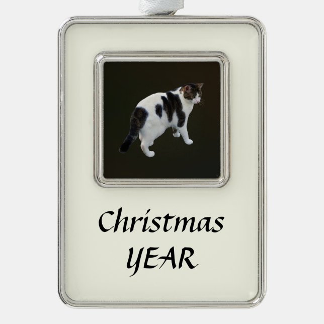 Adorno Pestaña Blanca Con Parches Oscuros (Anverso)