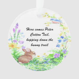 Adorno Peter Cotton Tail -