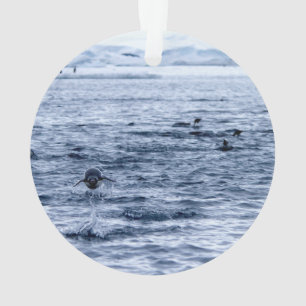 Adorno Pingüino volador