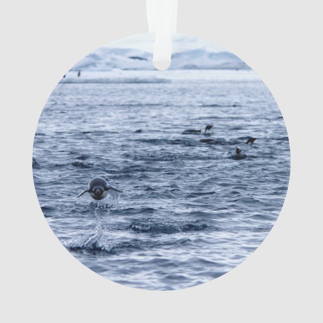 Adorno Pingüino volador (Reverso)