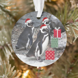Adorno Pingüinos con vacaciones en Santa sombreros