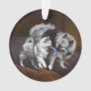 Adorno Pintado Keeshond Playtime - Arte Perro Original.