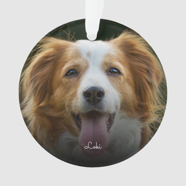 Adorno Pintas de pintura y corazón Personalizado de marco (Anverso)