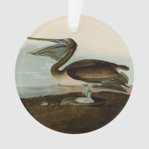 Adorno Pintura de arte pelicano John James Audubon Brown
