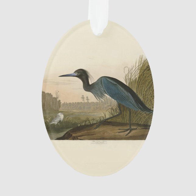 Adorno Pintura de Blue Crane Heron Audubon (Reverso)