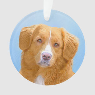 Adorno Pintura de perro de nova Scotia