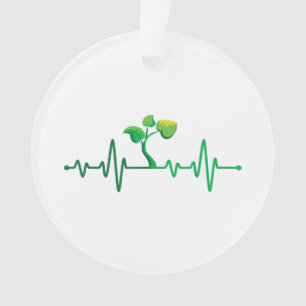 Adorno Plant Heartbeat - Planta Botánica de Jardinería Bo