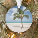 Adorno Playas tropicales | Eagle Beach, Aruba<br><div class="desc">Esta impresionante foto de Getty Images muestra la solitaria palma de la arena blanca en Eagle Beach,  Aruba</div>