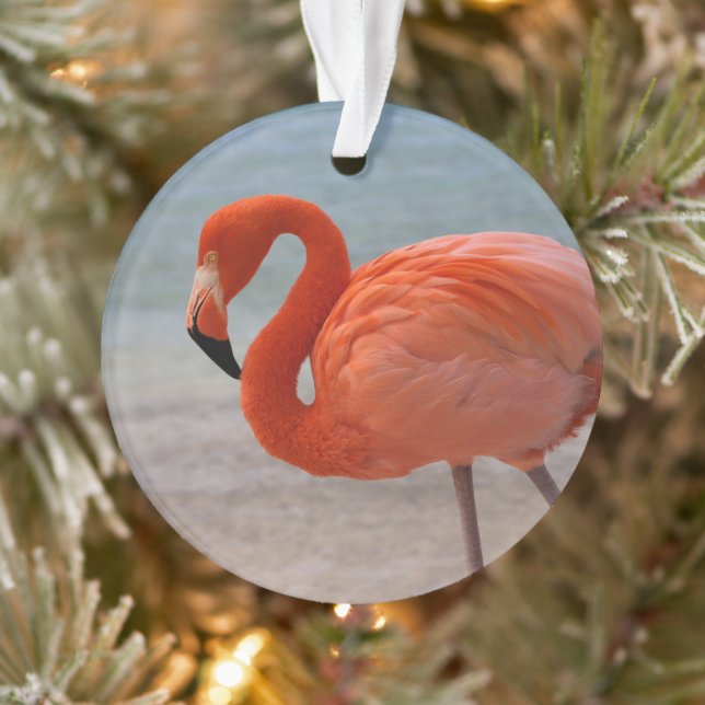 Adorno Playas tropicales | Flamingo caribeño, Aruba (Árbol)