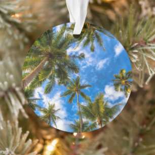 Adorno Playas tropicales   Palmeras en cielo azul