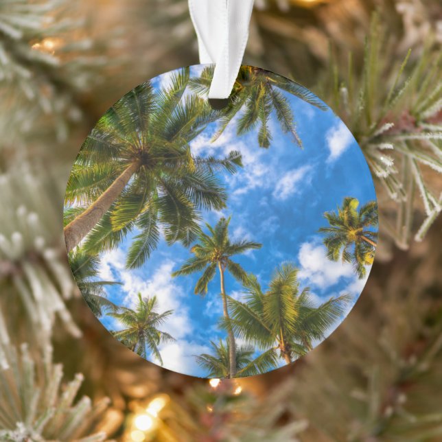 Adorno Playas tropicales | Palmeras en cielo azul (Árbol)